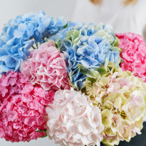 Hydrangea Bouquet