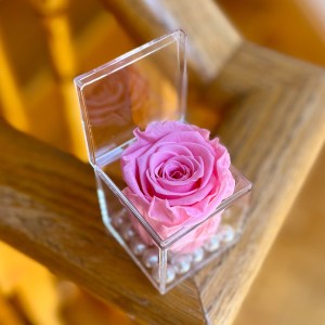 Preserved Forever Rose